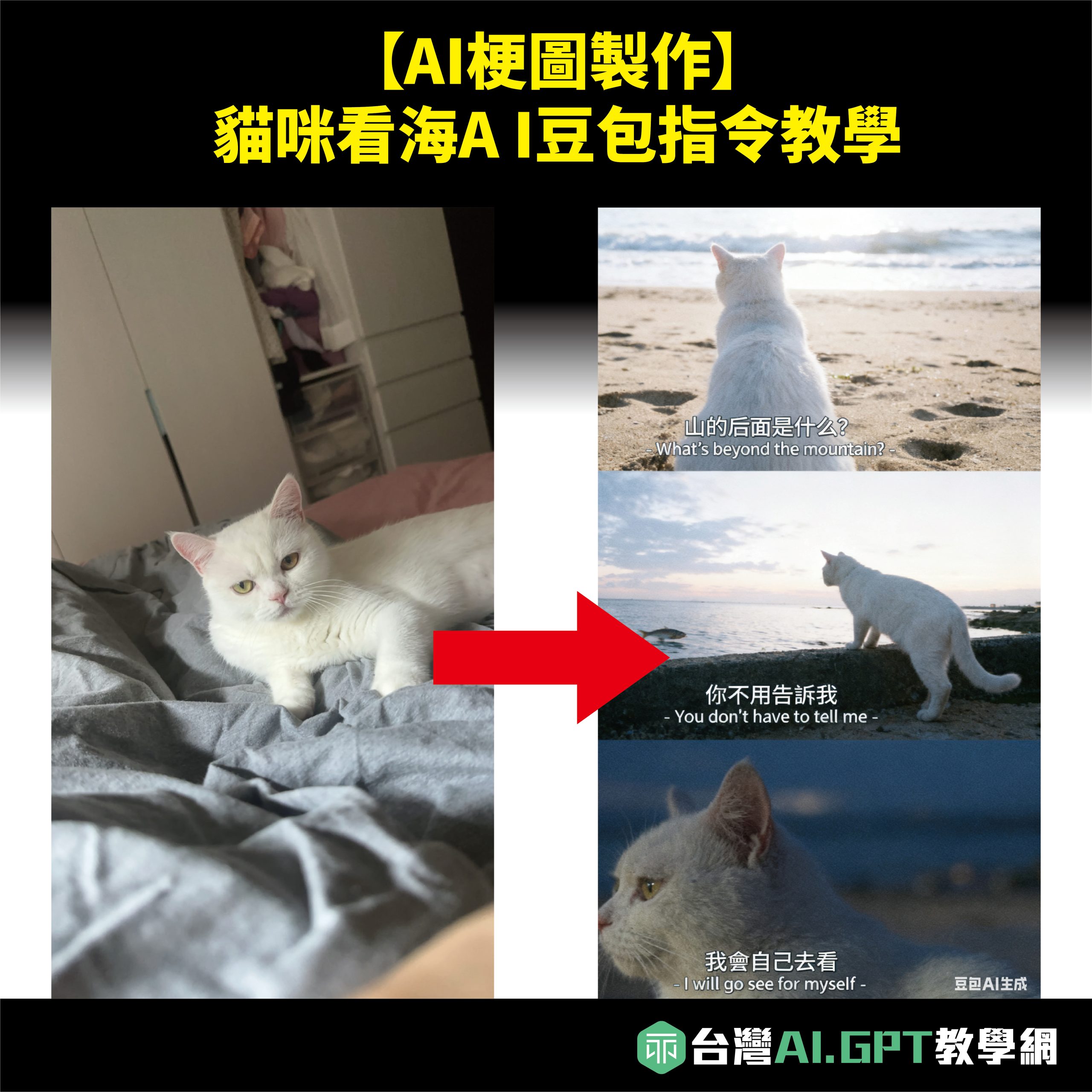 AI梗圖製作】貓咪看海Ai豆包指令教學- 台灣最大AI教學網站